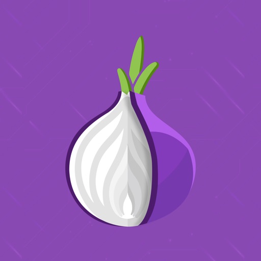 TOR Browser (متصفح)